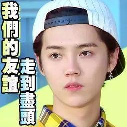 娱乐吃瓜直播真的假的